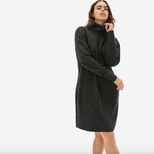 Everlane Cashmere Turtleneck Dress Grey Donegal